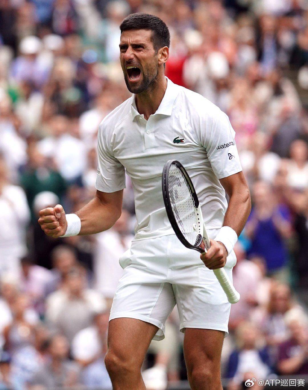 分的高分 分的高分